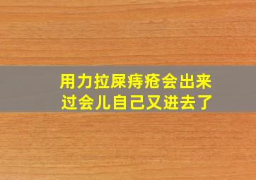 用力拉屎痔疮会出来 过会儿自己又进去了